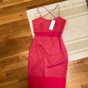 Princess Polly NWT Pink Bodycon Dress